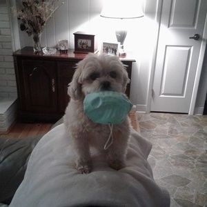 Meet your Posher, Carol